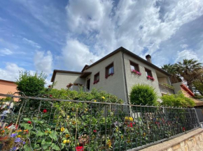 Gerani Rossi Villa San Pietro
